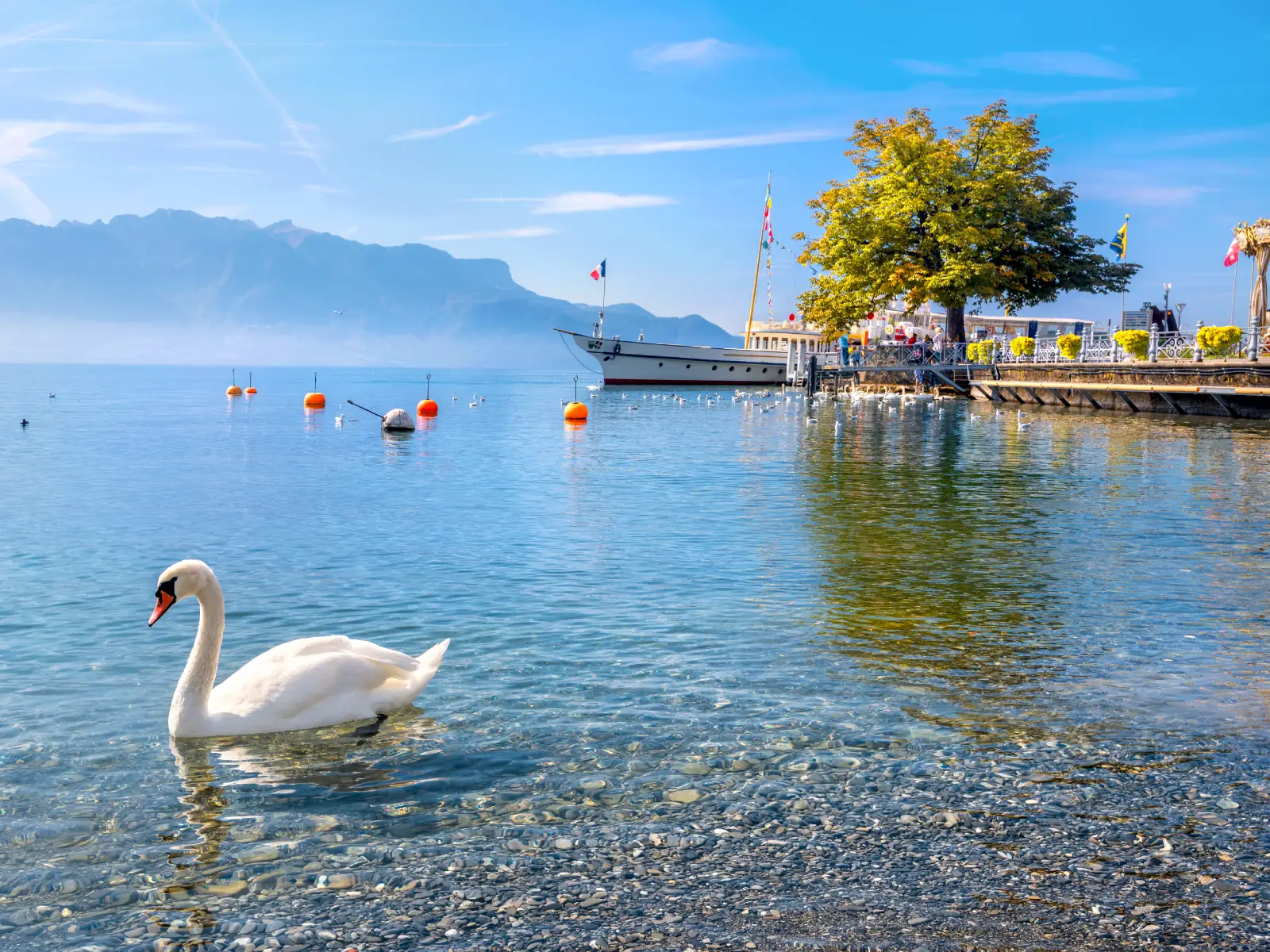 Le numérique au service des entreprises haut-savoyardes